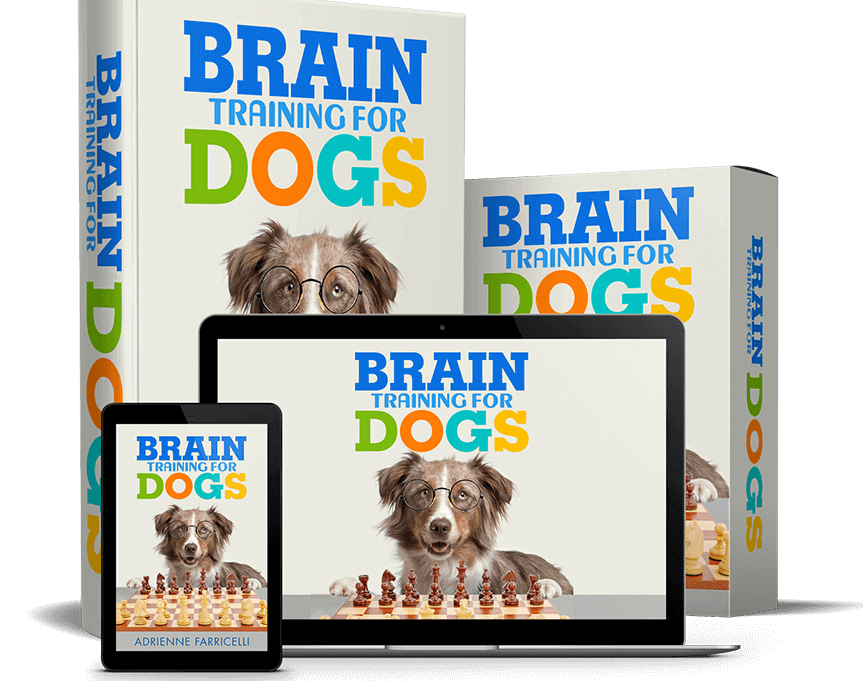 Brain Training for Dogs: Unlocking Boundless Potential It is Called...Brain Training for Dogs! Join now.